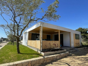 Arabela Lux Villa